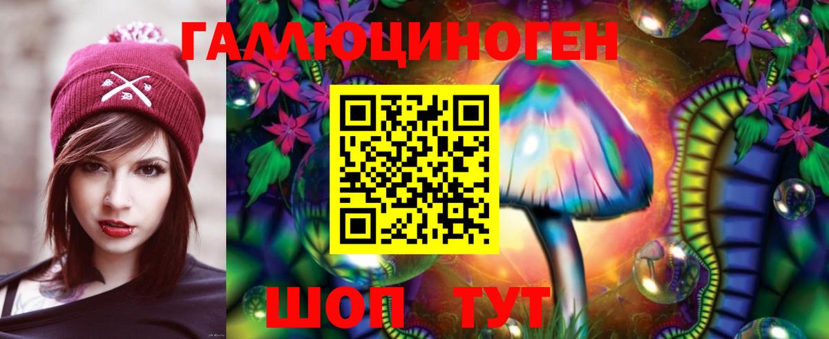 Черногорск  Галлюциногенные грибы GOLDEN TEACHER  Вход с VPN 