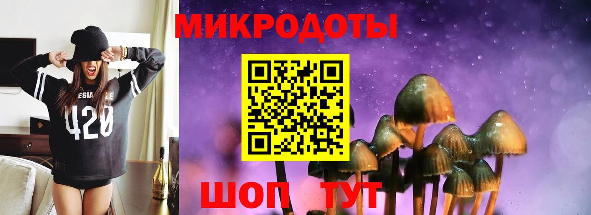 Галлюциногенные грибы Psilocybine cubensis Черногорск